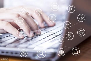 软件开发 解锁计算机潜能的钥匙