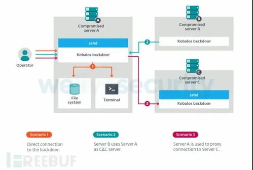 隐形钥匙 小型恶意软件如何撬开全球超级计算机的安全大门