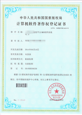 计算机软件开发中的版权保护 法律框架与实践挑战