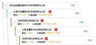 吉林省金鹰电脑软件开发有限责任公司 专业计算机软件开发服务